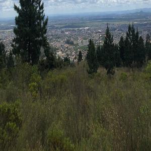 成人版巜劳伦的性放荡ID
